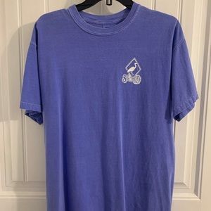 comfort colors graphic tee / graphic t shirt
